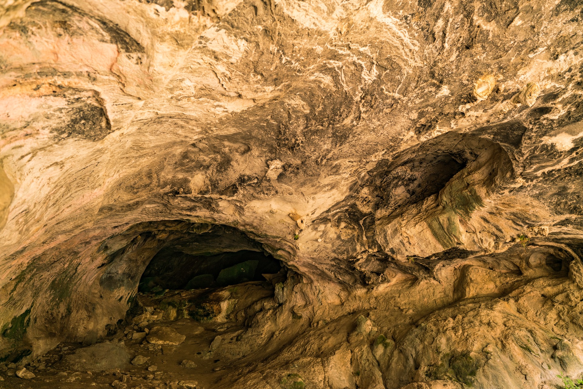 131485494_10159148891117193_346839538165897419_o