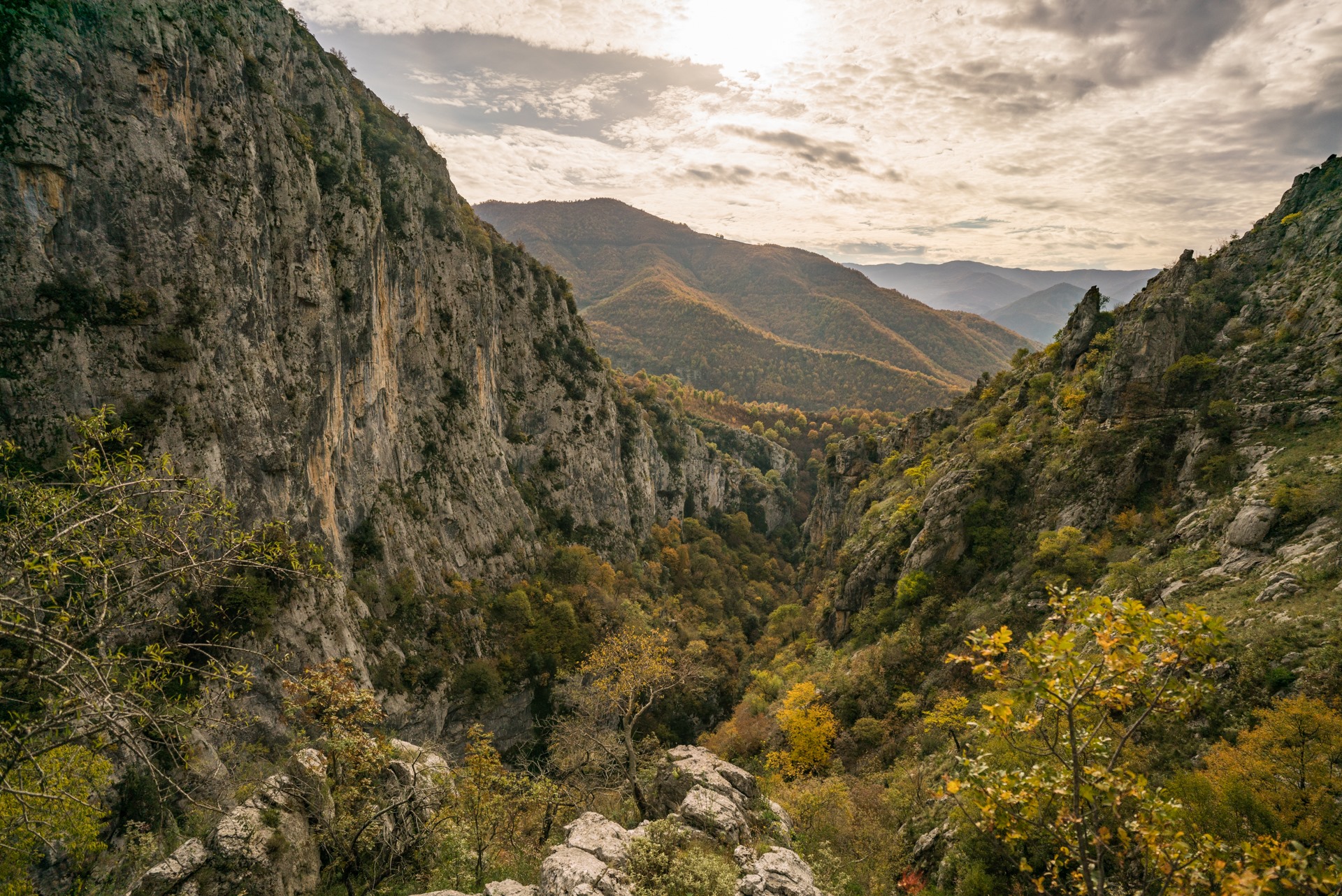 131896738_10159148891017193_35061893260374138_o