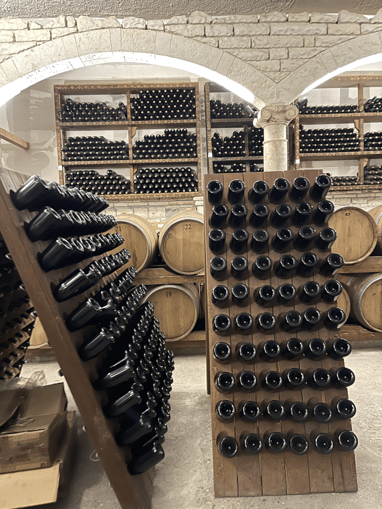Spectacular! 5 Reasons Why Albania Adventure Travel Çobo Winery Visit is Essential